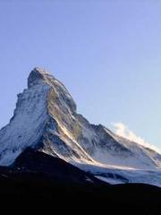 The Apothecaryapos;s