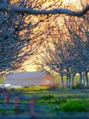 Girlfriends  lt;/pgt