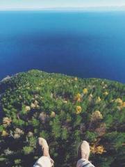 A Wifeapos;s Plea fo