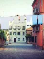 My Sweet Wife: The C