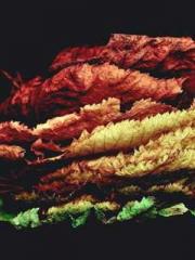 lt;lt; The Divine Do