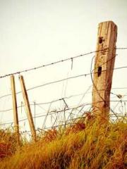 Jiang Mingzhu Zhou L