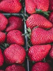 The Ugly Womanapos;s