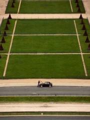 Cultivating My Empre