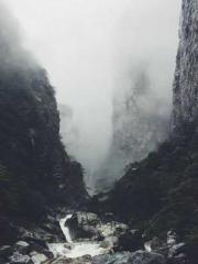 The Wife of My Heart