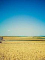 The young masterapos