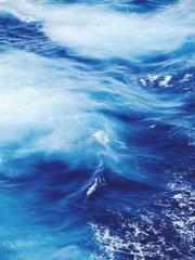 The Return of the Go