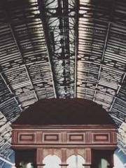 Shocking! This prota