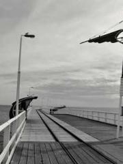 Two Treasures Arrive