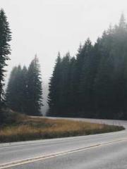 A Second Marriage Mo