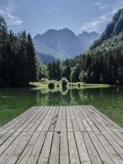 lt;Honor calls for N