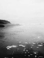 My pets are all amaz