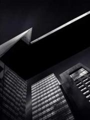 Super husband Lin Xi