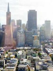 lt;Liang Yimo Cold N