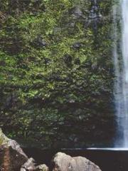 The Stand-in Wife Wa