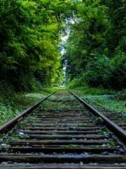 lt;lt;lt;lt;Yearning