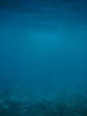 The Undefeated Son-i