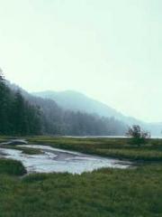 The Imperial Uncleap