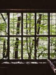 Li Qingqing and Zhao