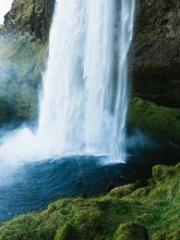 Shen Ning Ran Bo Jin