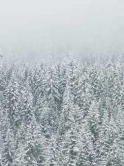 Rong Zhao Nanning Yu