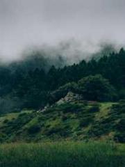 Reborn in 1989: Crea