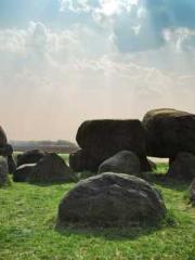 lt;Liang Yimo Cold N