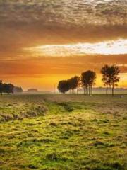 The young masterapos