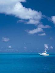 My pets are all amaz