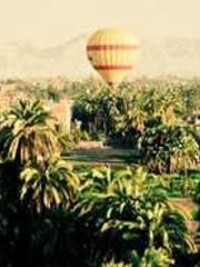 Transmigration: Feel