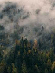 The Realm of the Dao