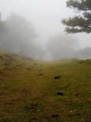 lt;lt;All in, my dec