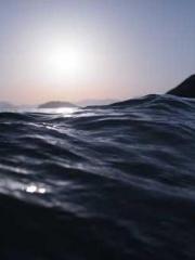 The young masterapos