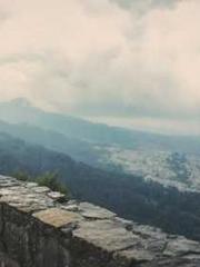 I Picked Up a Cultiv