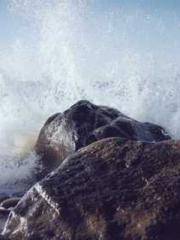 Mr. Gu, your wife is